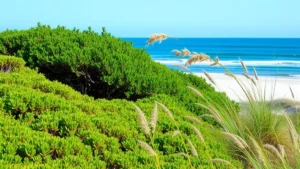 Coastal garden with salt-tolerant native plants including Yaupon Holly, Wax Myrtle, and ornamental grasses thriving near sandy beach with ocean in background, vibrant green foliage and natural windbreak effect