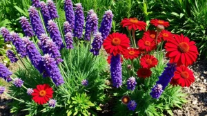 Vibrant blanket flowers and Russian sage growing together in a Denver garden bed with natural sunlight, showing their purple and red blooms against green foliage