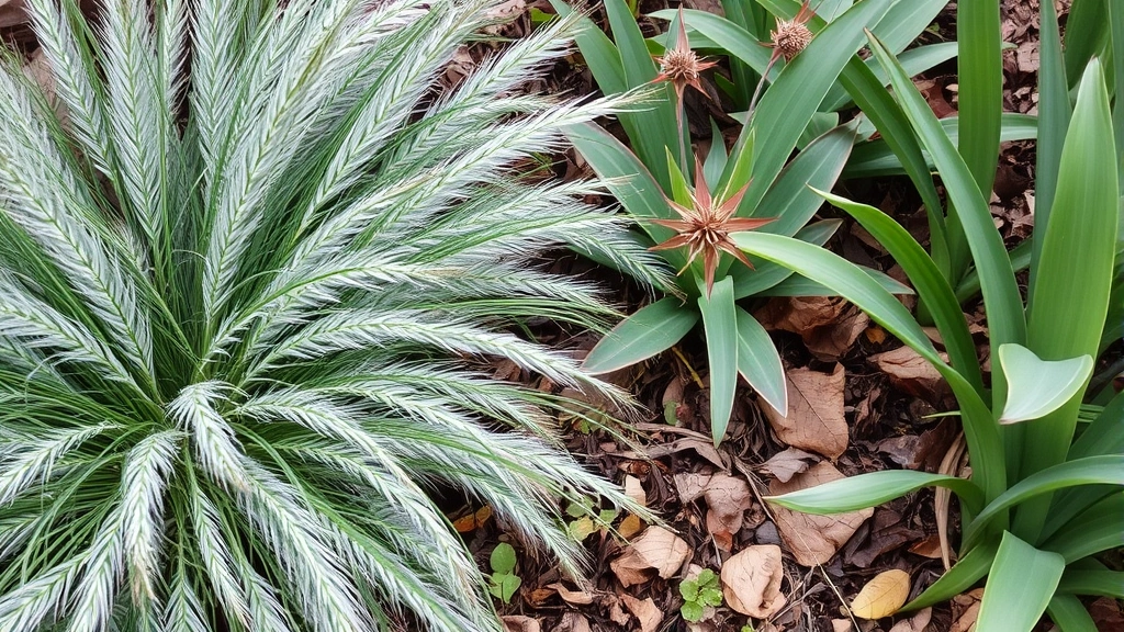 Close-up of layered raw garden with fine-textured feathery grasses next to bold-leaved plants, visible mulch layer, decomposing leaves, and natural transitions between plantings, showing ecological richness and seasonal interest with dried seed heads