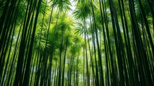 Lush green bamboo grove with delicate stems creating vertical lines, dappled sunlight filtering through leaves, peaceful and serene atmosphere, photorealistic botanical photography