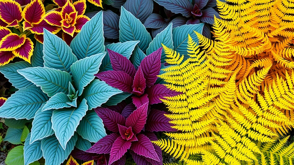 Close-up of vibrant hosta varieties displaying different leaf colors from blue-green to golden yellow, burgundy heuchera, and delicate fern fronds creating layered texture composition