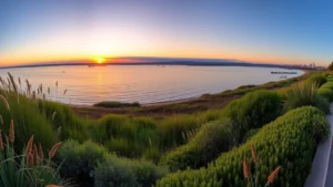 Panoramic view of San Diego Bay at sunset with native coastal plants, salt marsh vegetation, and waterfront landscape design featuring California native species
